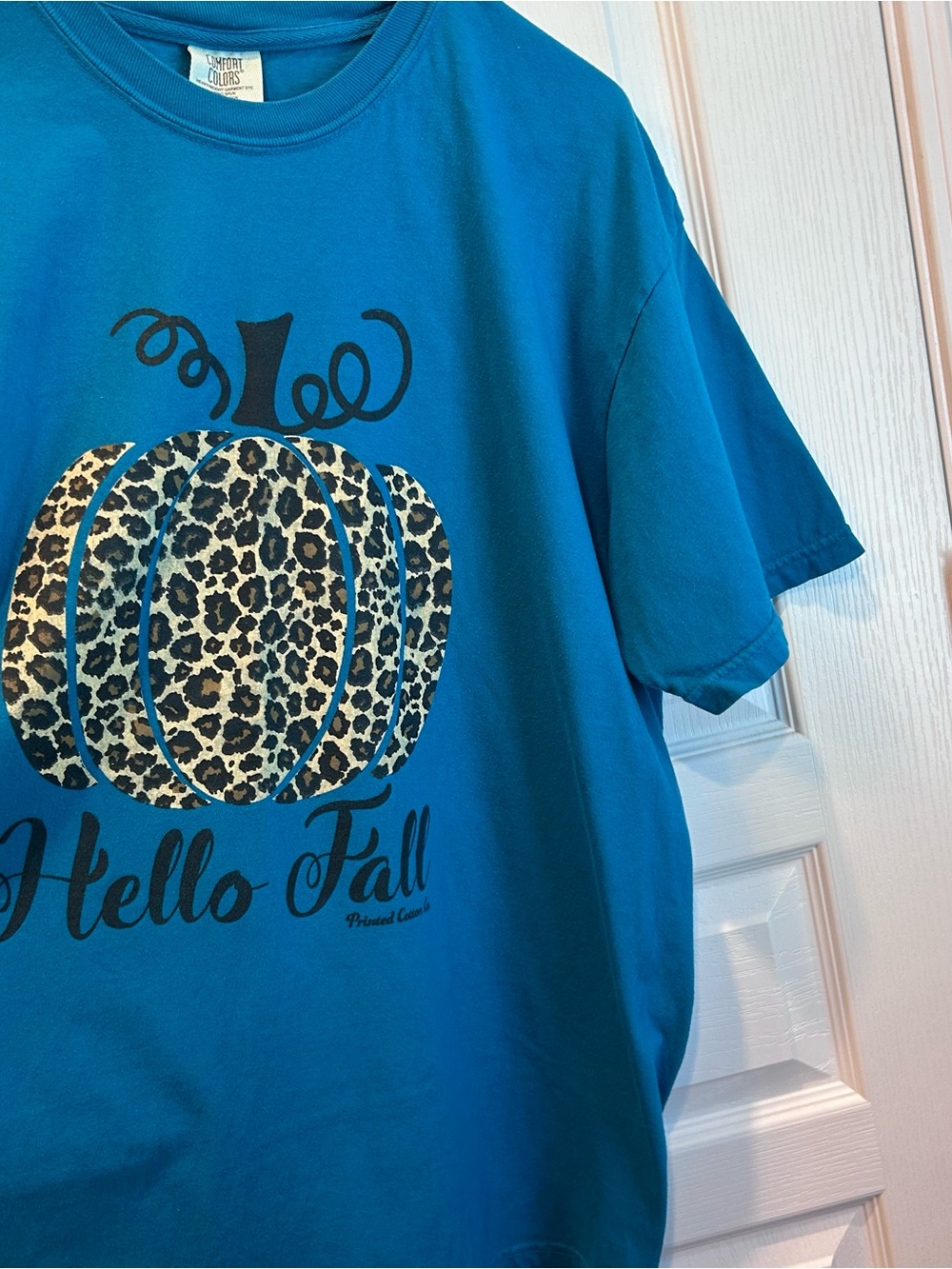 Comfort Colors Women’s Fall Tees Teal Leopard Pumpkin, Olive Prayer & Praise XL - Picture 3 of 6